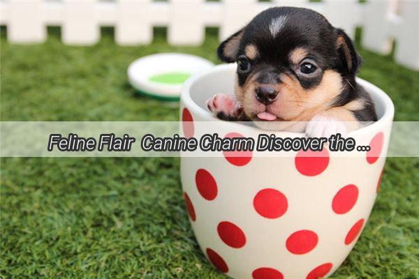 Feline Flair  Canine Charm Discover the Most Adorable Pet Monikers from Our Comprehensive List